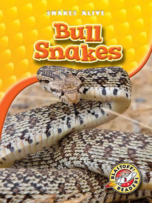 Title details for Bull Snakes by Ellen Frazel - Available